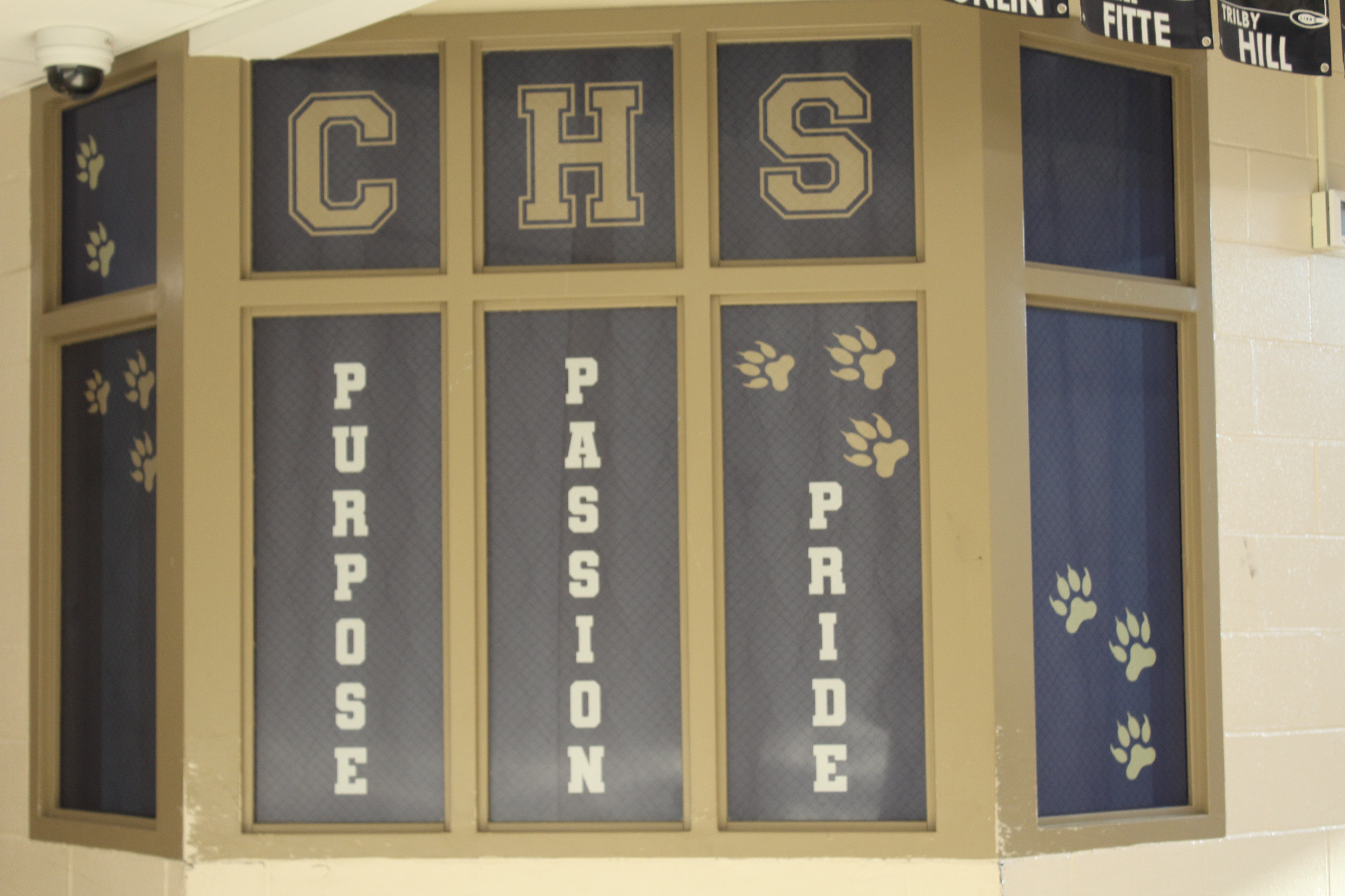 School spirit